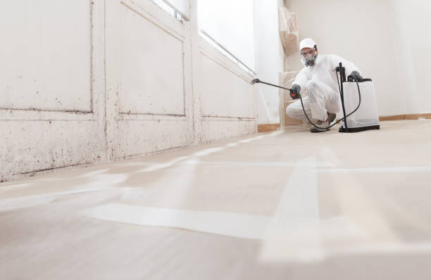 24/7 Emergency Attic Mold Remediation experts in Hawthorne, FL